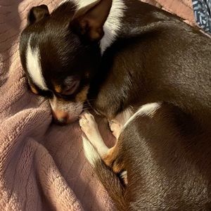 Meet your Posher, Christin